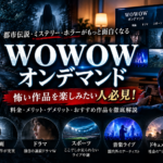 WOWOWオンデマンド 怖い作品特集